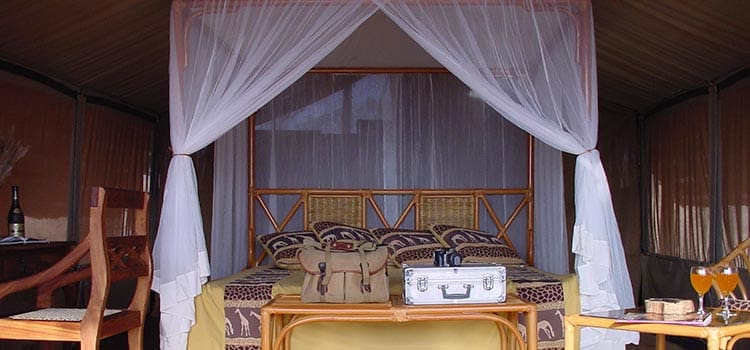 Kikot tented camp, Tarangire National Park Safari - Proud African Safaris