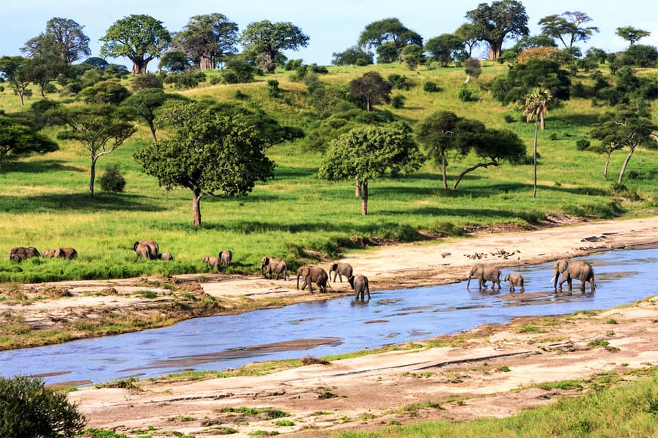 Damming the Serengeti