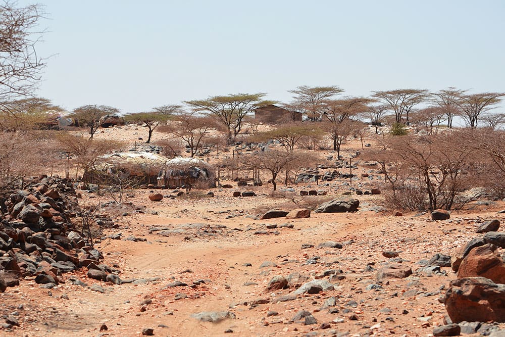 Drought In Kenya
