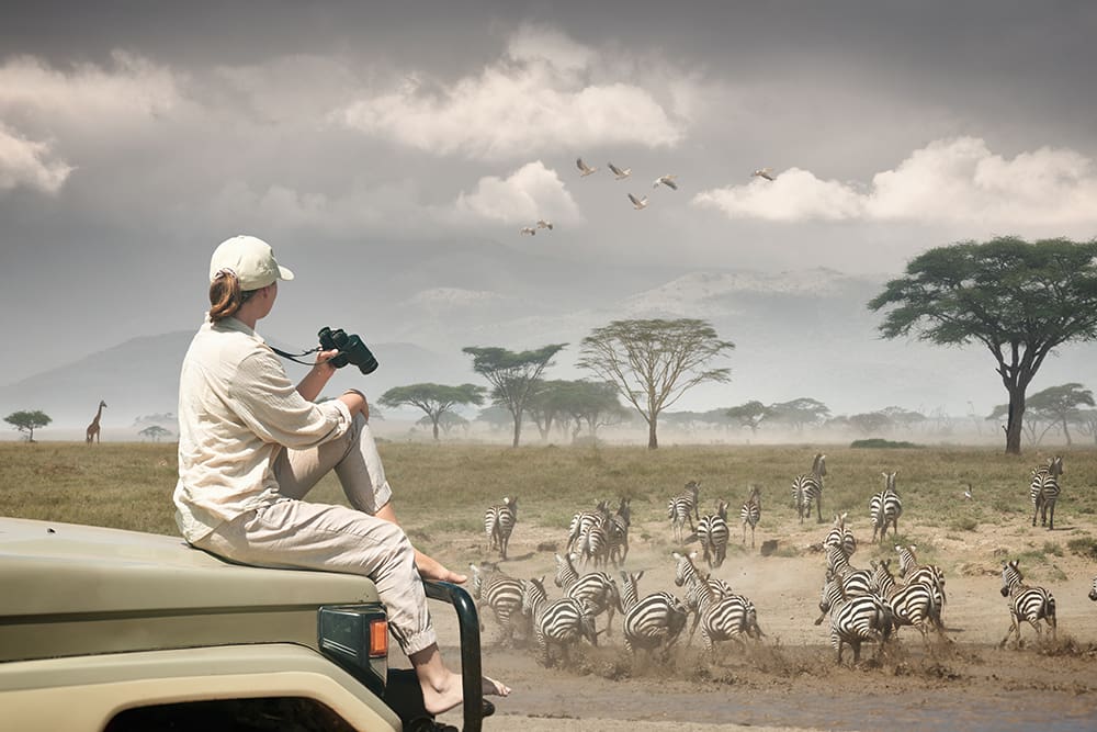 Serengeti tourism